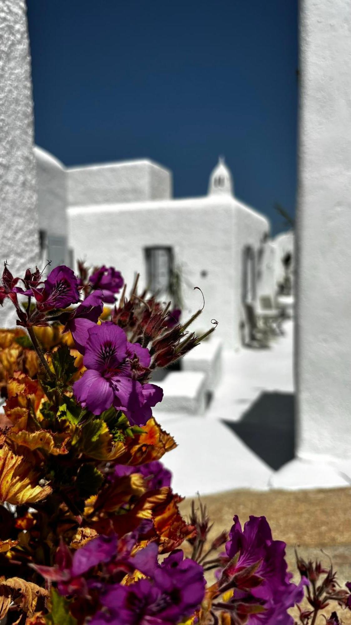 Vougli View Mykonos Hotel Drafaki Buitenkant foto